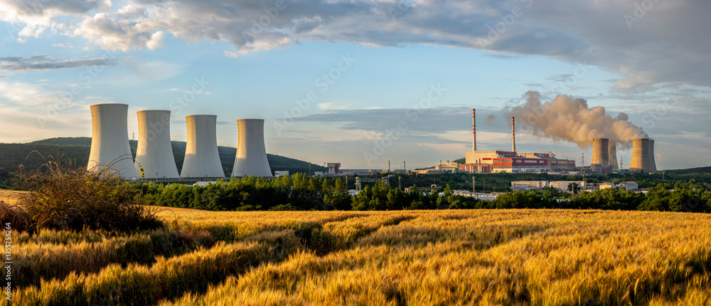 Cooling towers of a nuclear power station beyond a golden barley field